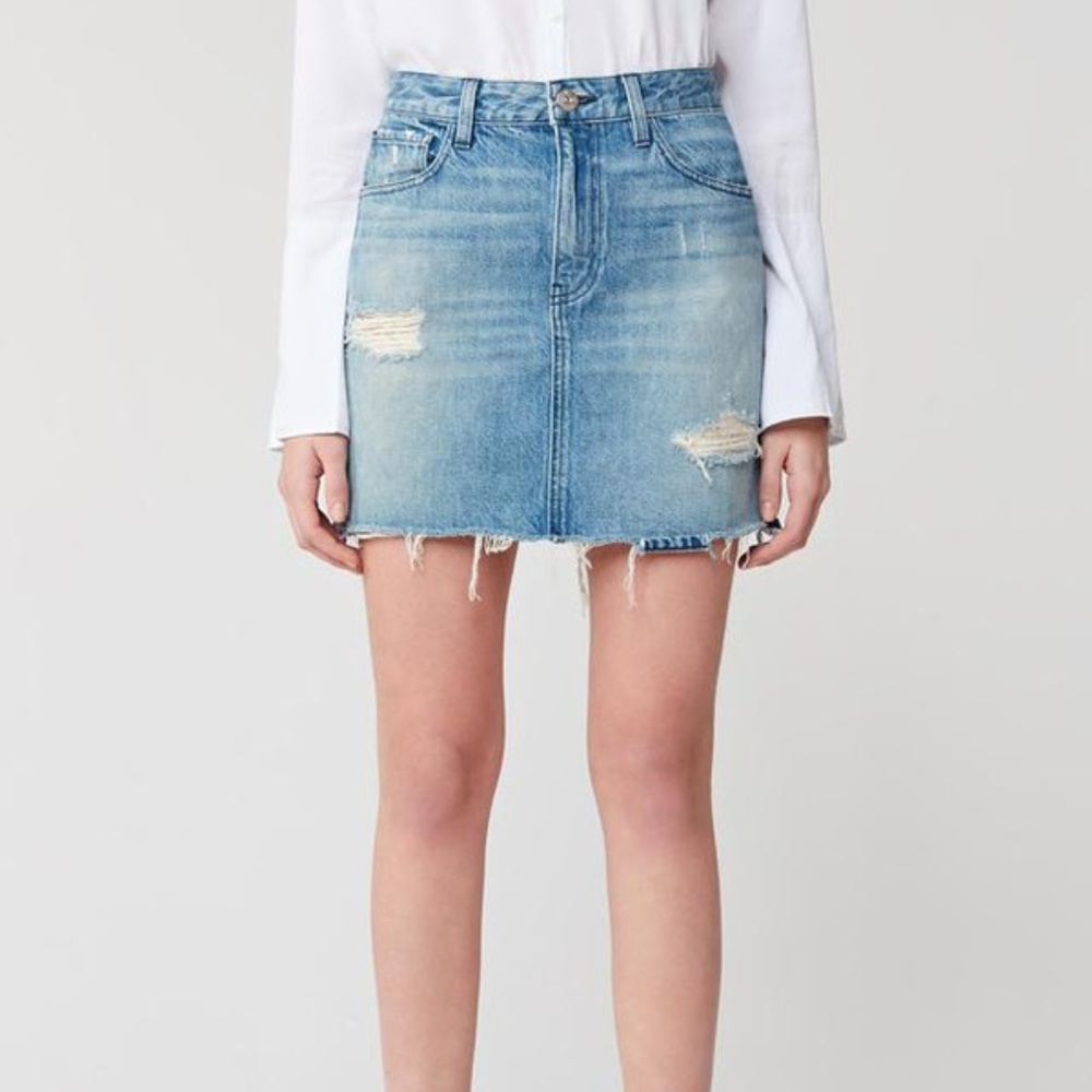 3x1 Celine LAZ skirt